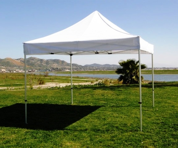 10' x 10'  EZ UP
